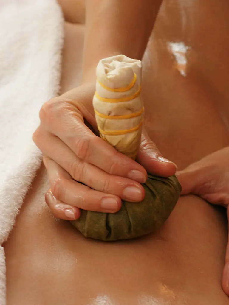 ayurveda4